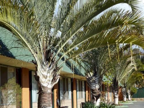 The Miners Rest Motel Kalgoorlie Exterior foto